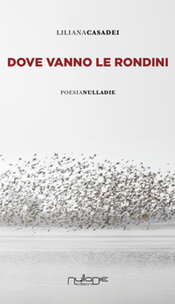 Dove vanno le rondini - Librerie.coop Dove vanno le rondini - Librerie.coop