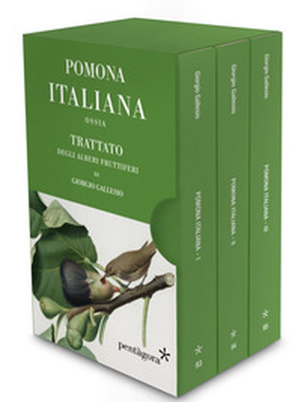 Pomona italiana ossia Trattato degli alberi fruttiferi - Librerie.coop Pomona italiana ossia Trattato degli alberi fruttiferi - Librerie.coop