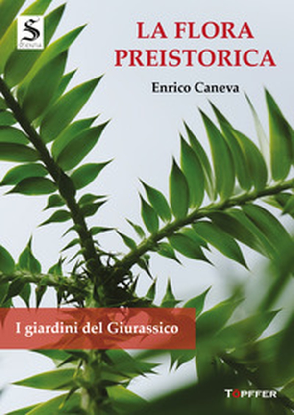 La flora preistorica. I giardini del Giurassico - Librerie.coop La flora preistorica. I giardini del Giurassico - Librerie.coop