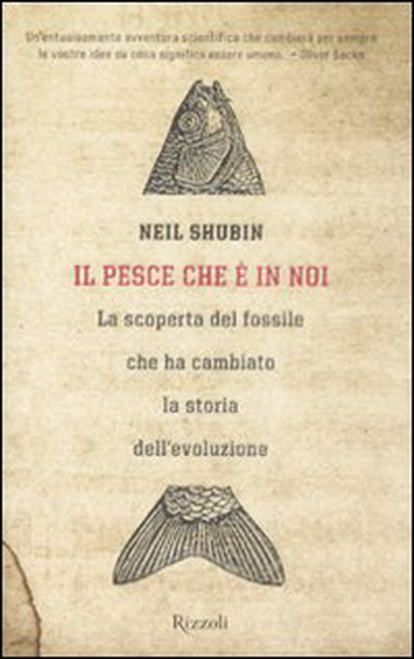 Il pesce che è in noi. La scoperta del fossile che ha cambiato la storia dell'evoluzione - Librerie.coop Il pesce che è in noi. La scoperta del fossile che ha cambiato la storia dell'evoluzione - Librerie.coop
