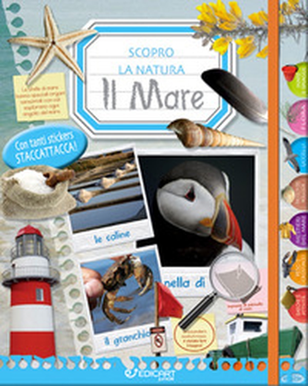 Il mare. Scopro la natura. Con adesivi - Librerie.coop Il mare. Scopro la natura. Con adesivi - Librerie.coop