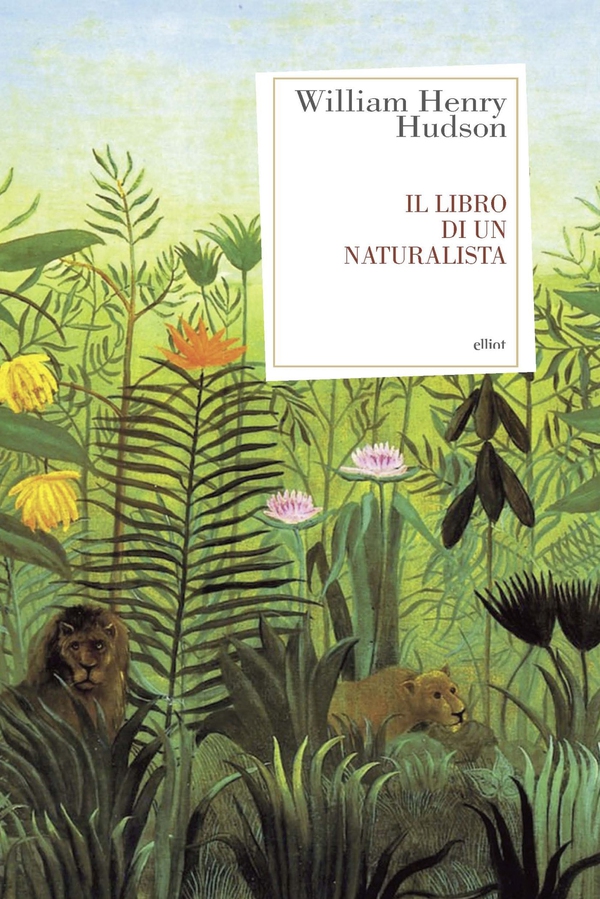 Il libro di un naturalista - Librerie.coop Il libro di un naturalista - Librerie.coop
