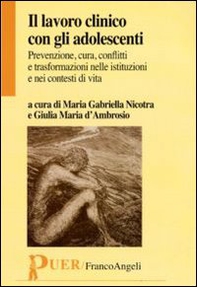 Il lavoro clinico con gli adolescenti. Prevenzione, cura, conflitti e trasformazioni nelle istituzioni e nei contesti di vita - Librerie.coop