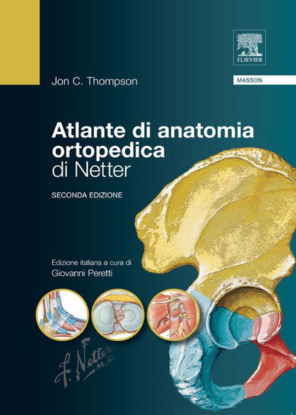 Atlante di anatomia ortopedica di Netter - Librerie.coop Atlante di anatomia ortopedica di Netter - Librerie.coop