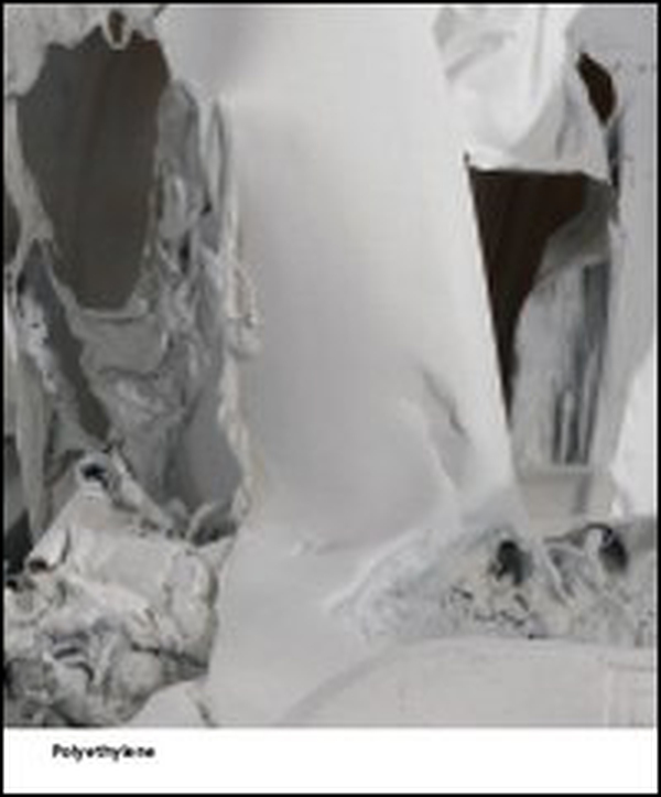 Pawel Althamer. Polyethylene. Common task - Librerie.coop Pawel Althamer. Polyethylene. Common task - Librerie.coop