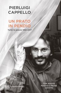 Un prato in pendio - Librerie.coop