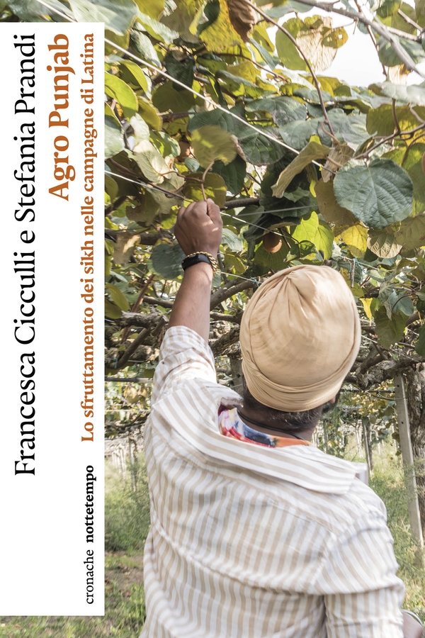 Agro Punjab - Librerie.coop Agro Punjab - Librerie.coop