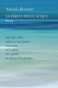 La ferita delle acque - Librerie.coop