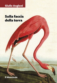 Sulla faccia della terra - Librerie.coop