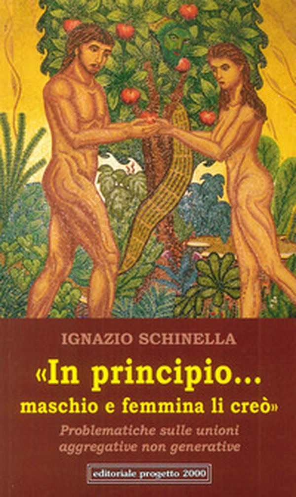 In principio...maschio e femmina li creò. Problematiche sulle unioni aggregative non generative - Librerie.coop In principio...maschio e femmina li creò. Problematiche sulle unioni aggregative non generative - Librerie.coop