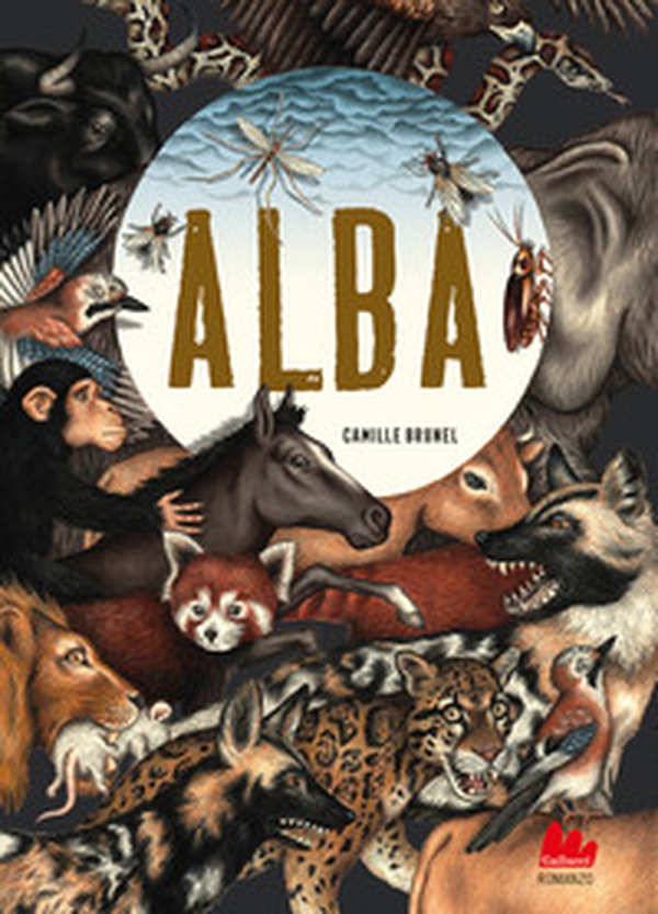 Alba - Librerie.coop Alba - Librerie.coop