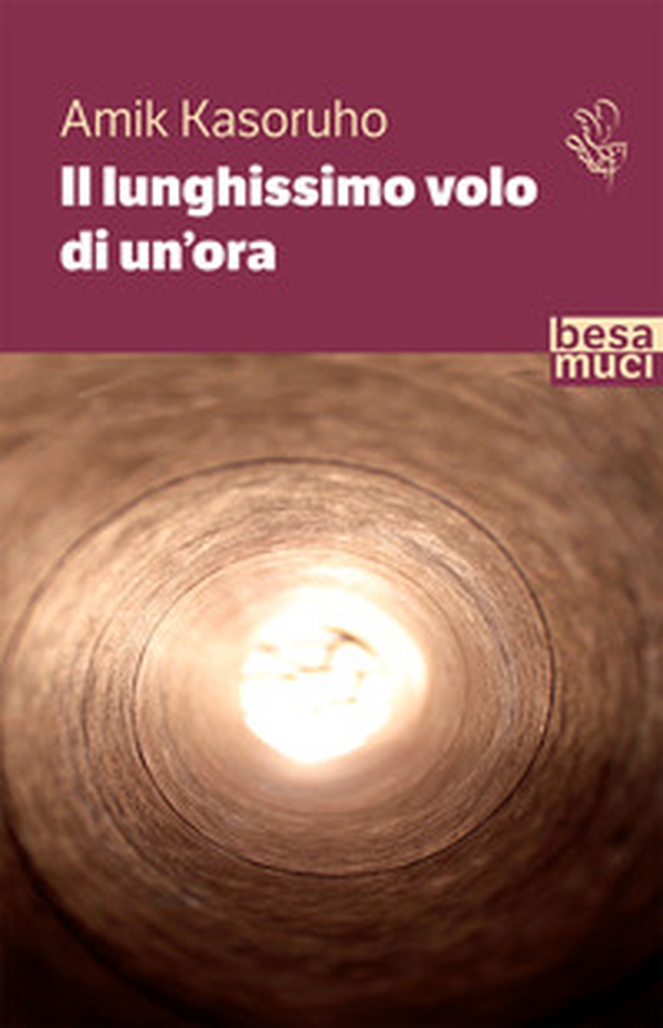Il lunghissimo volo di un'ora - Librerie.coop Il lunghissimo volo di un'ora - Librerie.coop