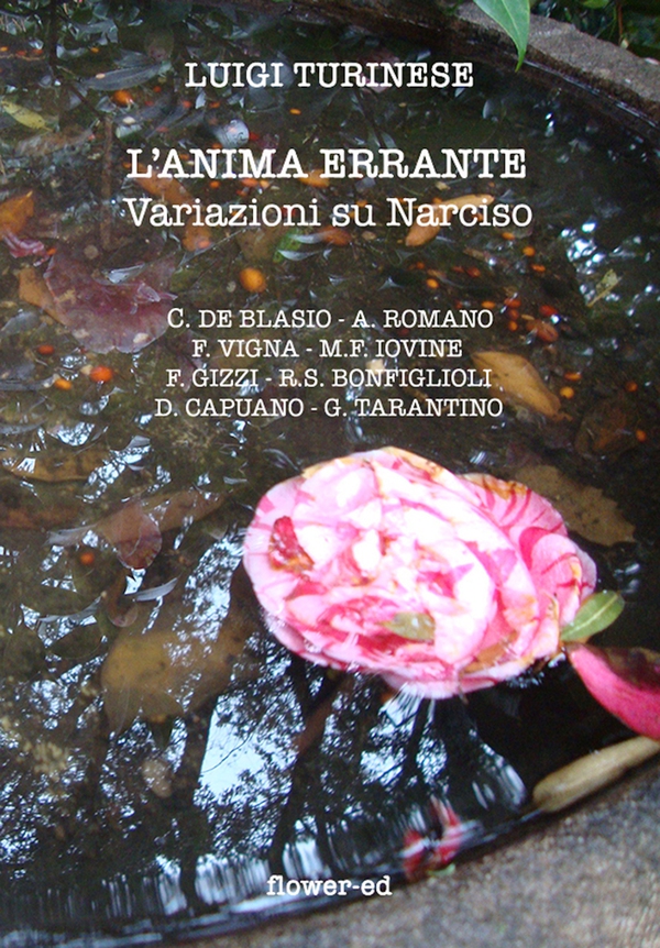 L'anima errante - Librerie.coop L'anima errante - Librerie.coop