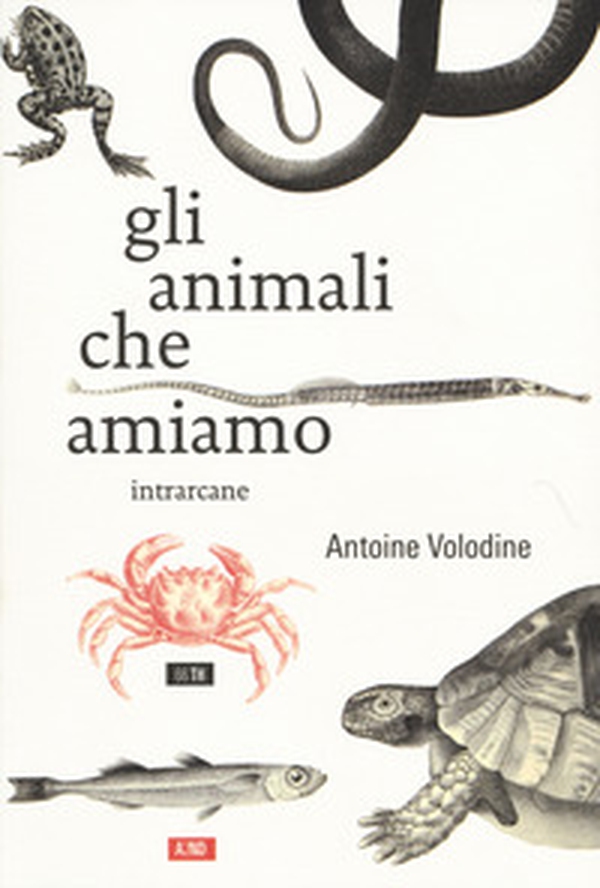 Gli animali che amiamo - Librerie.coop Gli animali che amiamo - Librerie.coop