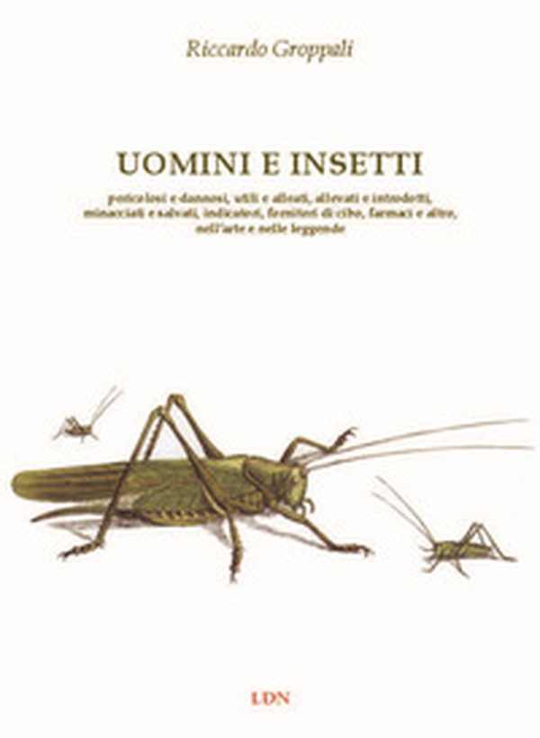 Uomini e insetti. Pericolosi e dannosi, utili e alleati, allevati e introdotti, minacciati e salvati, indicatori, fornitori di cibo, farmaci e altro, nell'arte e nelle leggende - Librerie.coop Uomini e insetti. Pericolosi e dannosi, utili e alleati, allevati e introdotti, minacciati e salvati, indicatori, fornitori di cibo, farmaci e altro, nell'arte e nelle leggende - Librerie.coop