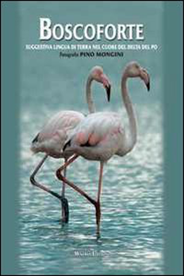 Boscoforte - Librerie.coop Boscoforte - Librerie.coop