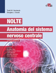 Nolte. Anatomia del sistema nervoso centrale - Librerie.coop Nolte. Anatomia del sistema nervoso centrale - Librerie.coop