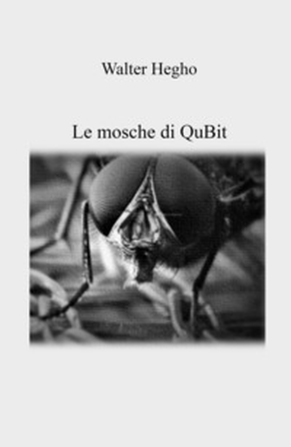 Le mosche di QuBit - Librerie.coop Le mosche di QuBit - Librerie.coop