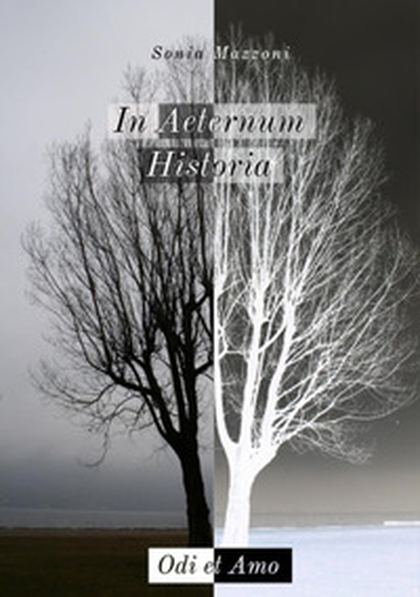 In aeternum historia. Odi et amo - Librerie.coop In aeternum historia. Odi et amo - Librerie.coop