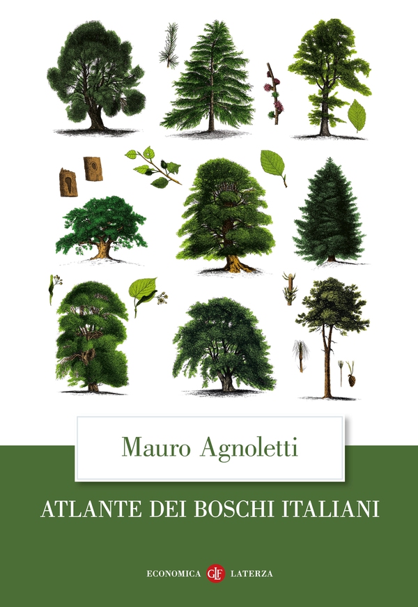 Atlante dei boschi italiani - Librerie.coop Atlante dei boschi italiani - Librerie.coop