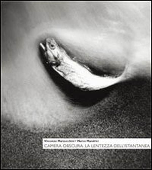 Camera obscura. La lentezza dell'istantanea - Librerie.coop