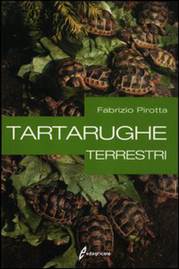 Tartarughe terrestri - Librerie.coop Tartarughe terrestri - Librerie.coop