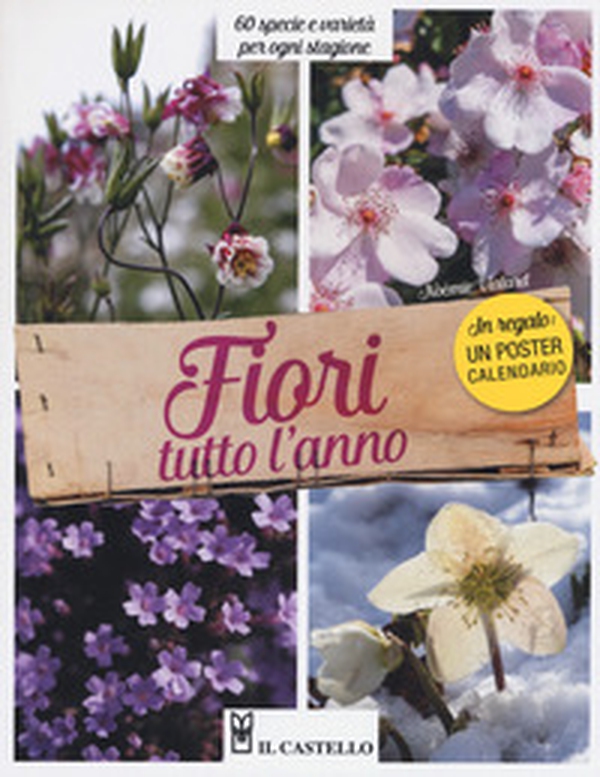 Fiori tutto l'anno. 60 specie e varietà per ogni stagione - Librerie.coop Fiori tutto l'anno. 60 specie e varietà per ogni stagione - Librerie.coop