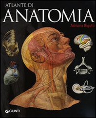 Atlante di anatomia - Librerie.coop