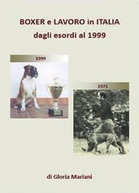 Boxer e lavoro in Italia dagli esordi al 1999 - Librerie.coop