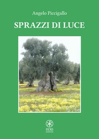Sprazzi di luce - Librerie.coop Sprazzi di luce - Librerie.coop