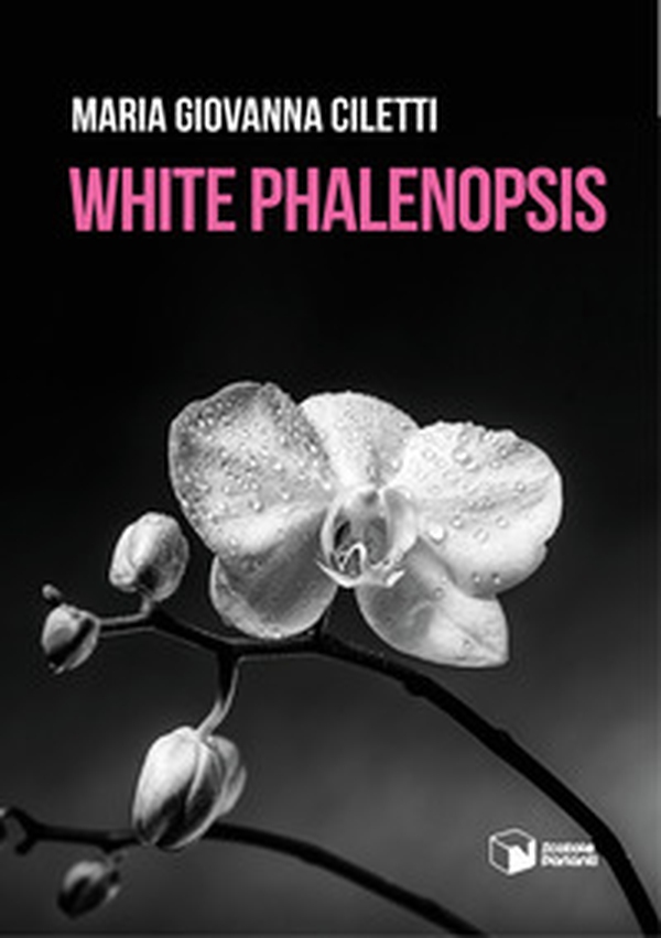 White Phalenopsis - Librerie.coop White Phalenopsis - Librerie.coop