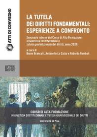 La tutela dei diritti fondamentali. Esperienze a confronto. Seminario interno del Corso di alta formazione in Giustizia costituzionale e tutela giurisdizionale dei diritti - Librerie.coop
