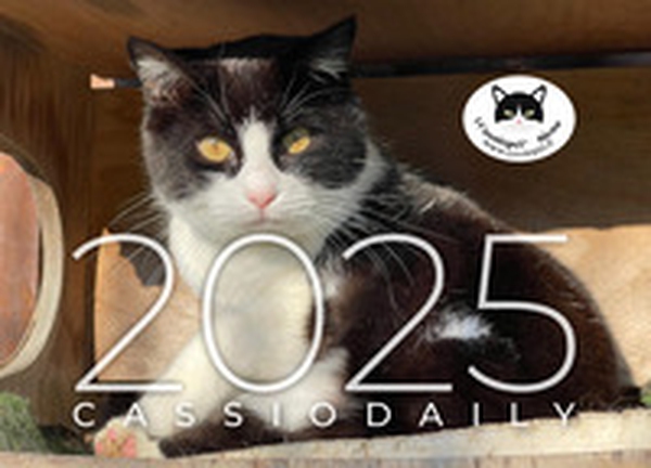 Cassiodaily 2025 - Librerie.coop Cassiodaily 2025 - Librerie.coop
