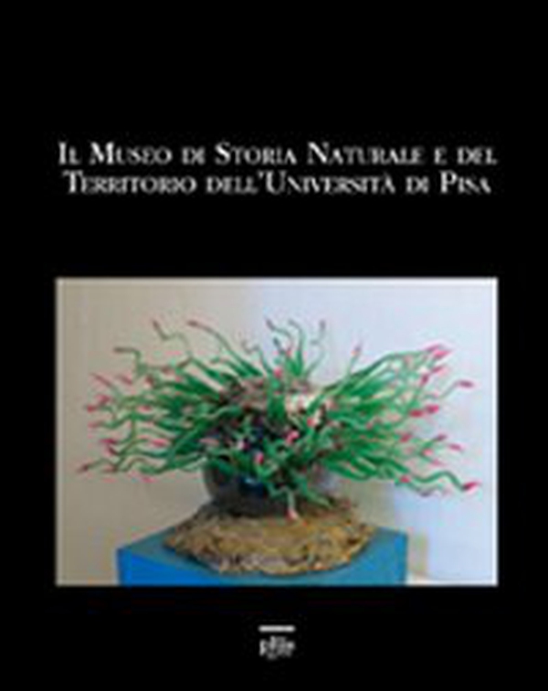 Il museo di storia naturale e del territorio dell'università di Pisa - Librerie.coop Il museo di storia naturale e del territorio dell'università di Pisa - Librerie.coop
