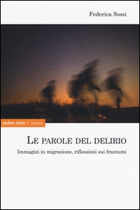 Le parole del delirio. Immagini in migrazione, riflessioni sui frantumi - Librerie.coop