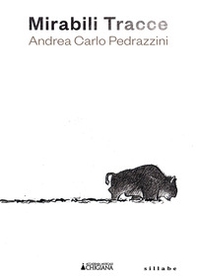 Mirabili tracce. Andrea Carlo Pedrazzini - Librerie.coop