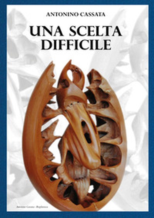 Una scelta difficile - Librerie.coop Una scelta difficile - Librerie.coop
