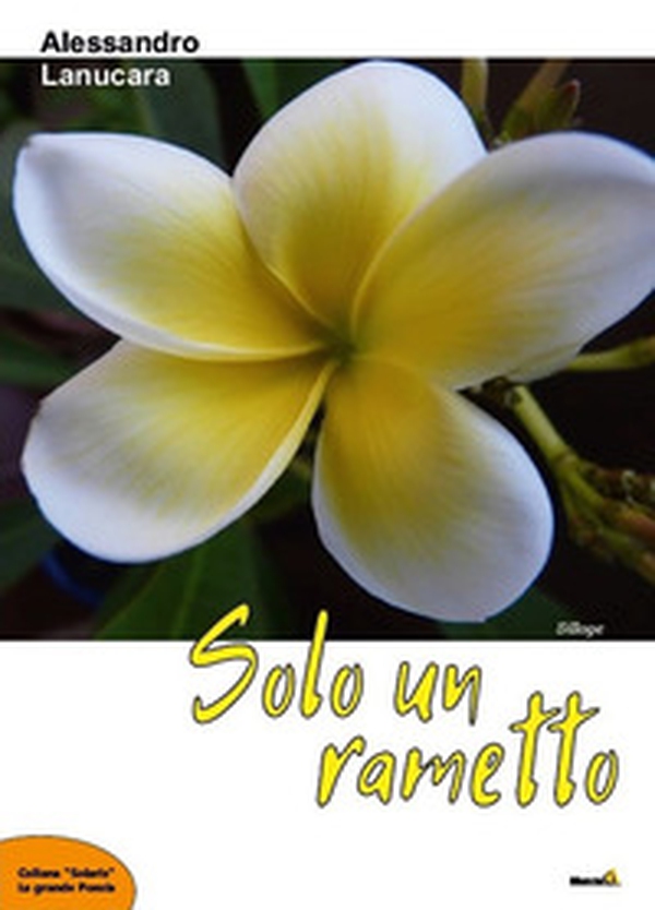 Solo un rametto - Librerie.coop