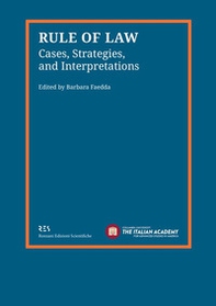Rule of law. Cases, strategies, and interpretations - Librerie.coop