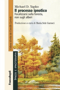 Il processo ipnotico. Focalizzarsi sulla foresta, non sugli alberi - Librerie.coop