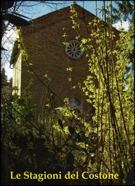 Le stagioni del Costone. Storia, protagonisti e testimonianze di un secolo di vita del Ricreatorio Pio II in Siena - Librerie.coop Le stagioni del Costone. Storia, protagonisti e testimonianze di un secolo di vita del Ricreatorio Pio II in Siena - Librerie.coop