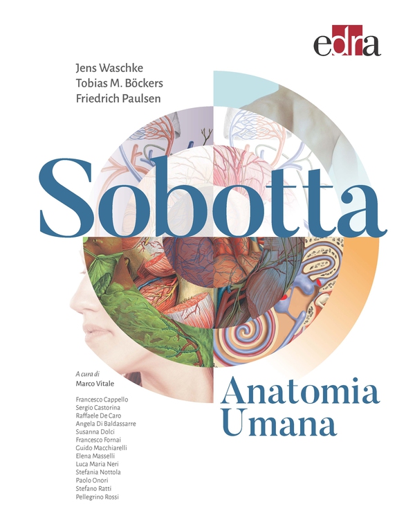 Sobotta Anatomia Umana - Librerie.coop Sobotta Anatomia Umana - Librerie.coop