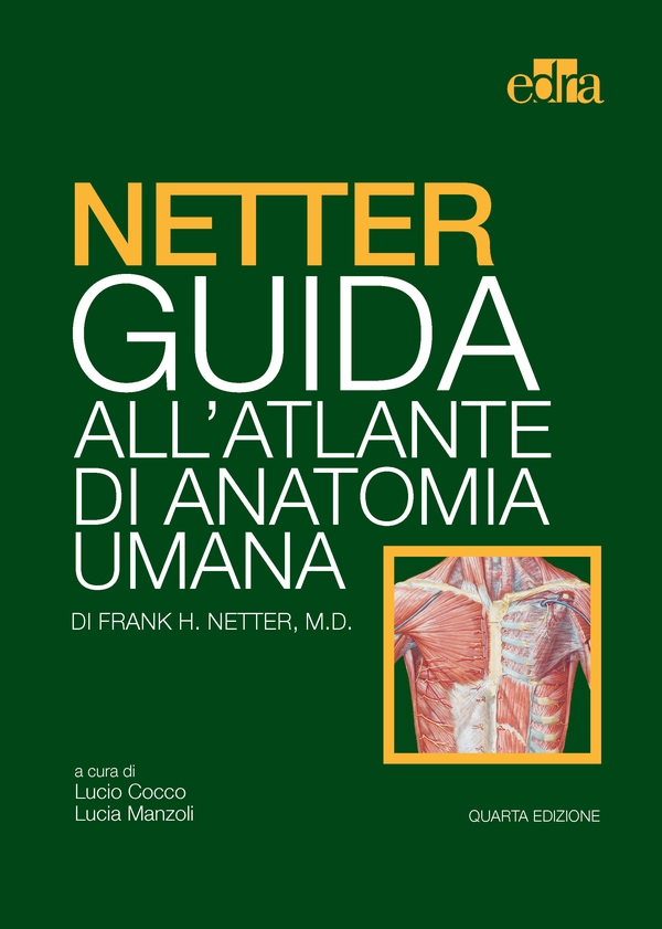 NETTER Guida all'Atlante di Anatomia Umana - Librerie.coop
