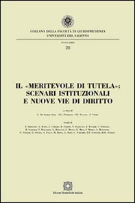 Il «meritevole di tutela». Scenari istituzionali e nuove vie di diritto - Librerie.coop