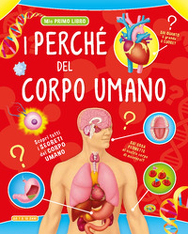 I perché del corpo umano - Librerie.coop I perché del corpo umano - Librerie.coop