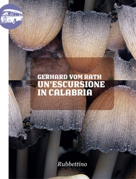 Un'escursione in Calabria - Librerie.coop Un'escursione in Calabria - Librerie.coop