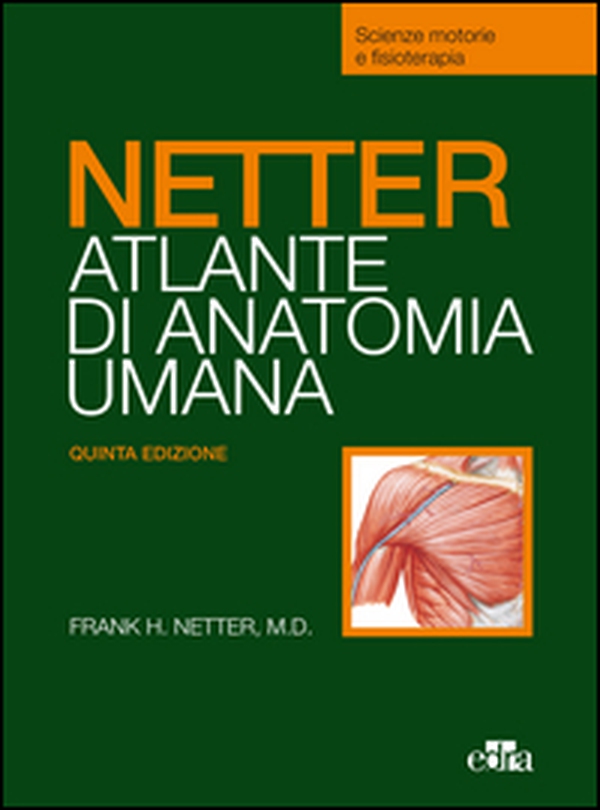 Netter. Atlante anatomia umana. Scienze motorie e fisioterapia - Librerie.coop Netter. Atlante anatomia umana. Scienze motorie e fisioterapia - Librerie.coop