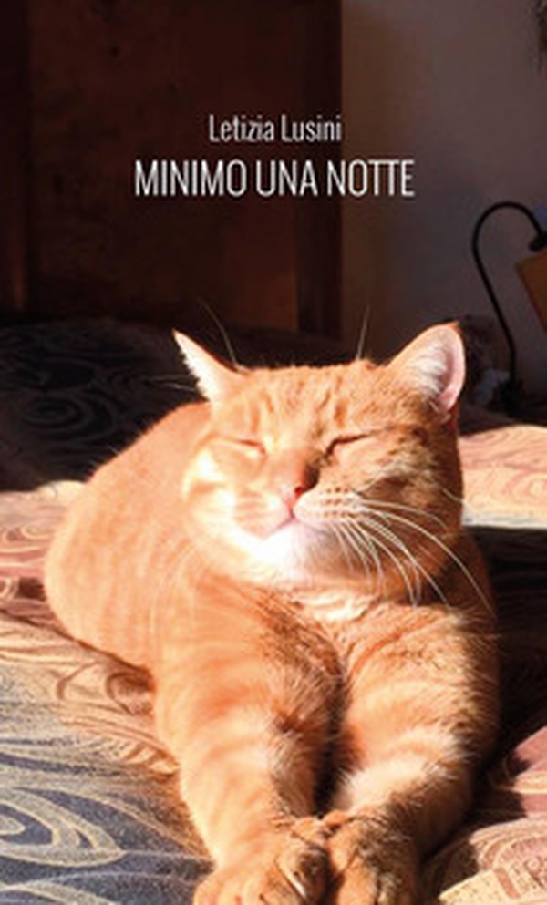 Minimo una notte - Librerie.coop Minimo una notte - Librerie.coop