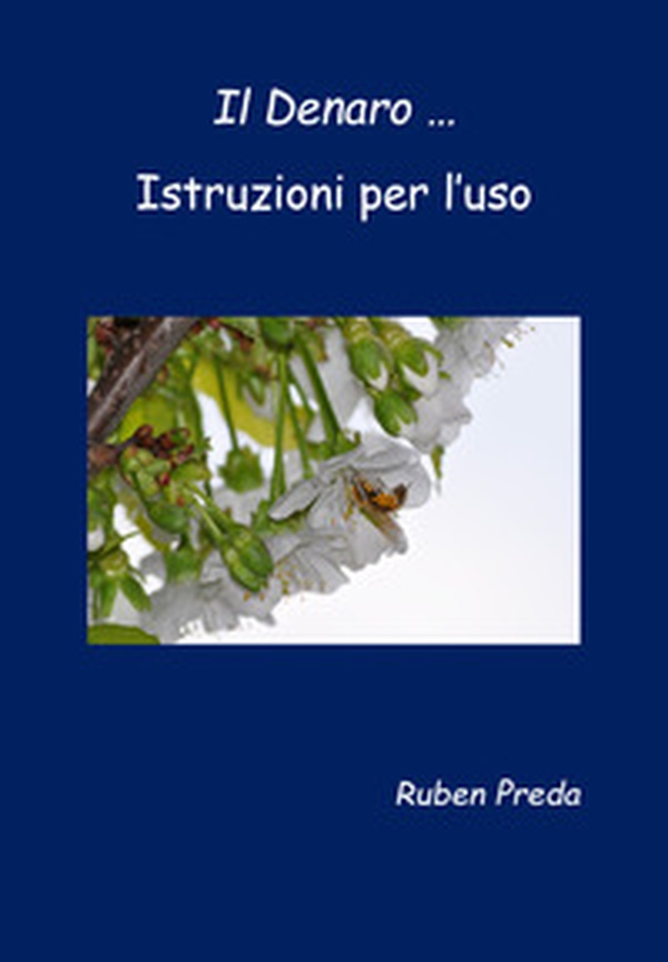 Il denaro... Istruzioni per l'uso - Librerie.coop Il denaro... Istruzioni per l'uso - Librerie.coop