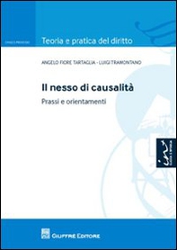 Il nesso di causalità. Prassi e orientamenti - Librerie.coop